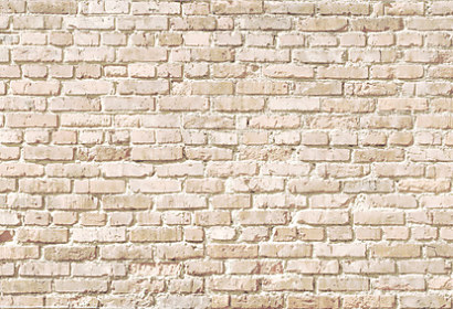 Fototapeta Béžové panorama staré cihlové zdi 207802412
